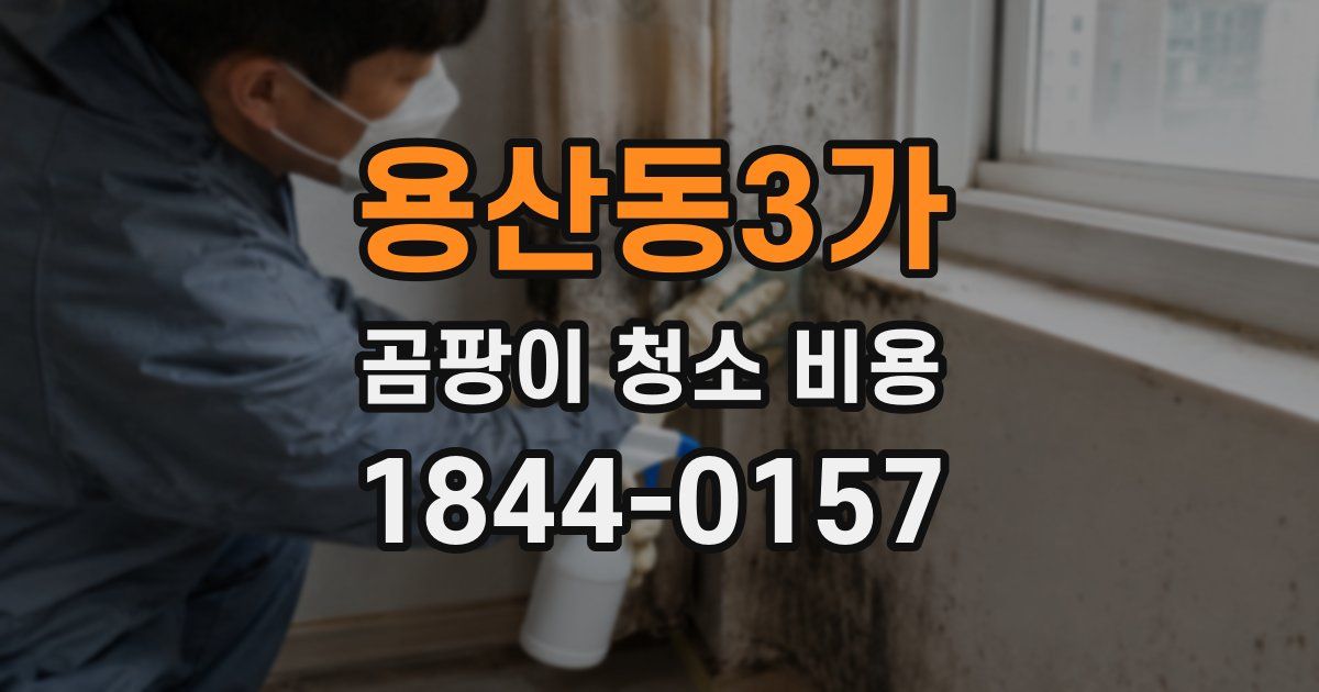 용산동3가 곰팡이 청소 비용