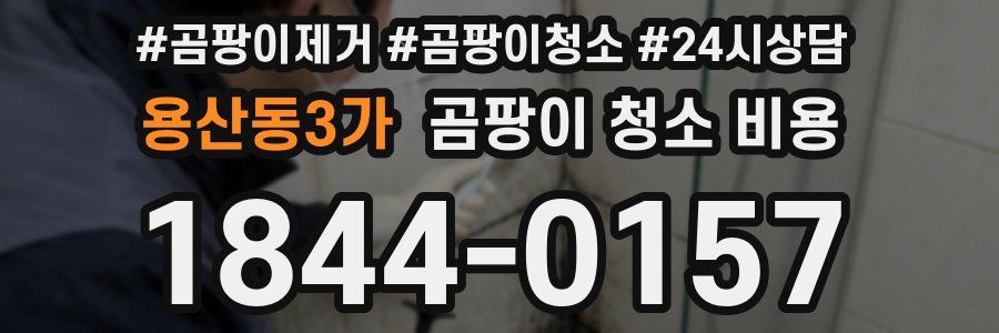 용산동3가 곰팡이 청소 비용