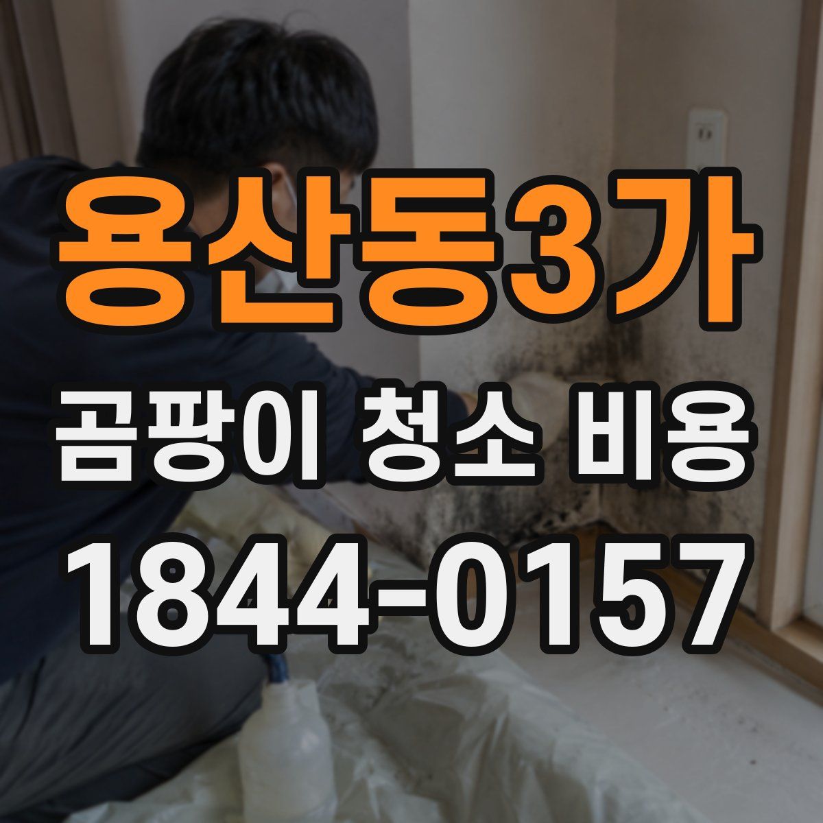 용산동3가 곰팡이 청소 비용