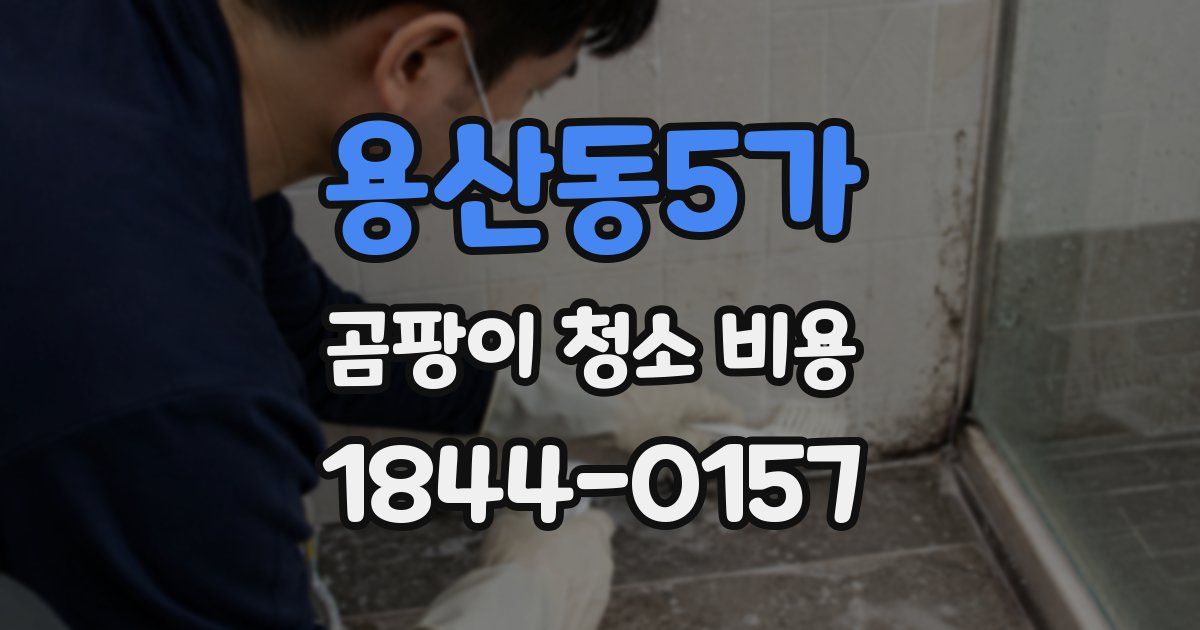 용산동5가 곰팡이 청소 비용