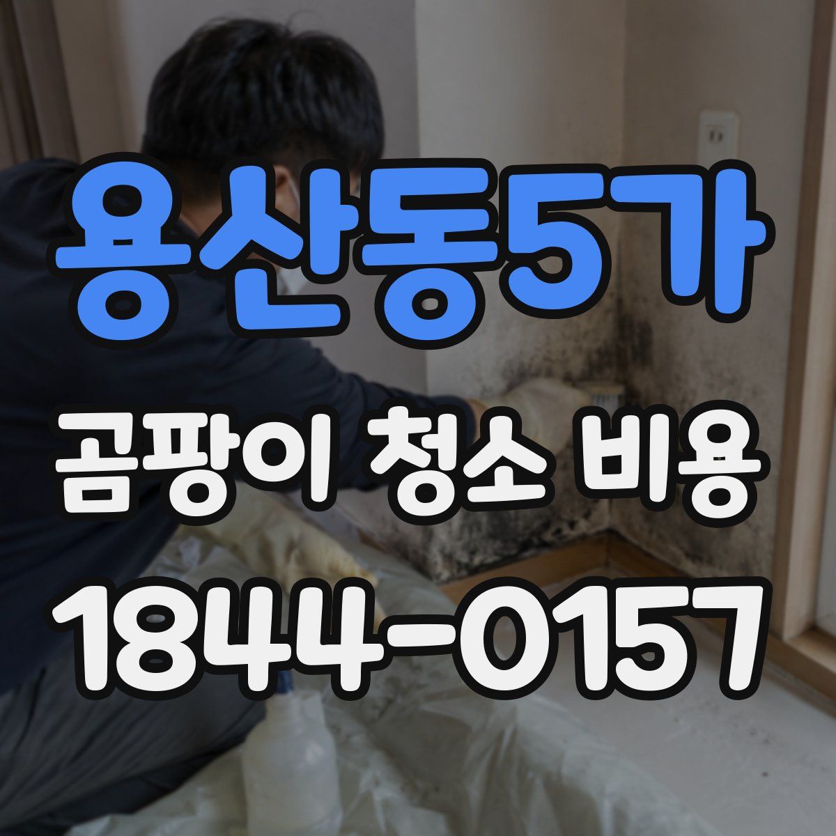용산동5가 곰팡이 청소 비용