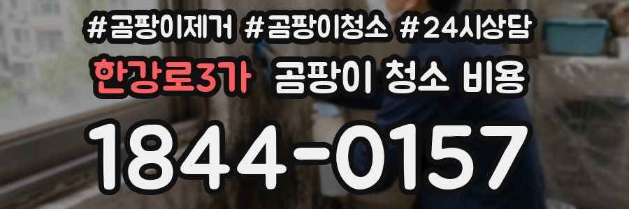 한강로3가 곰팡이 청소 비용