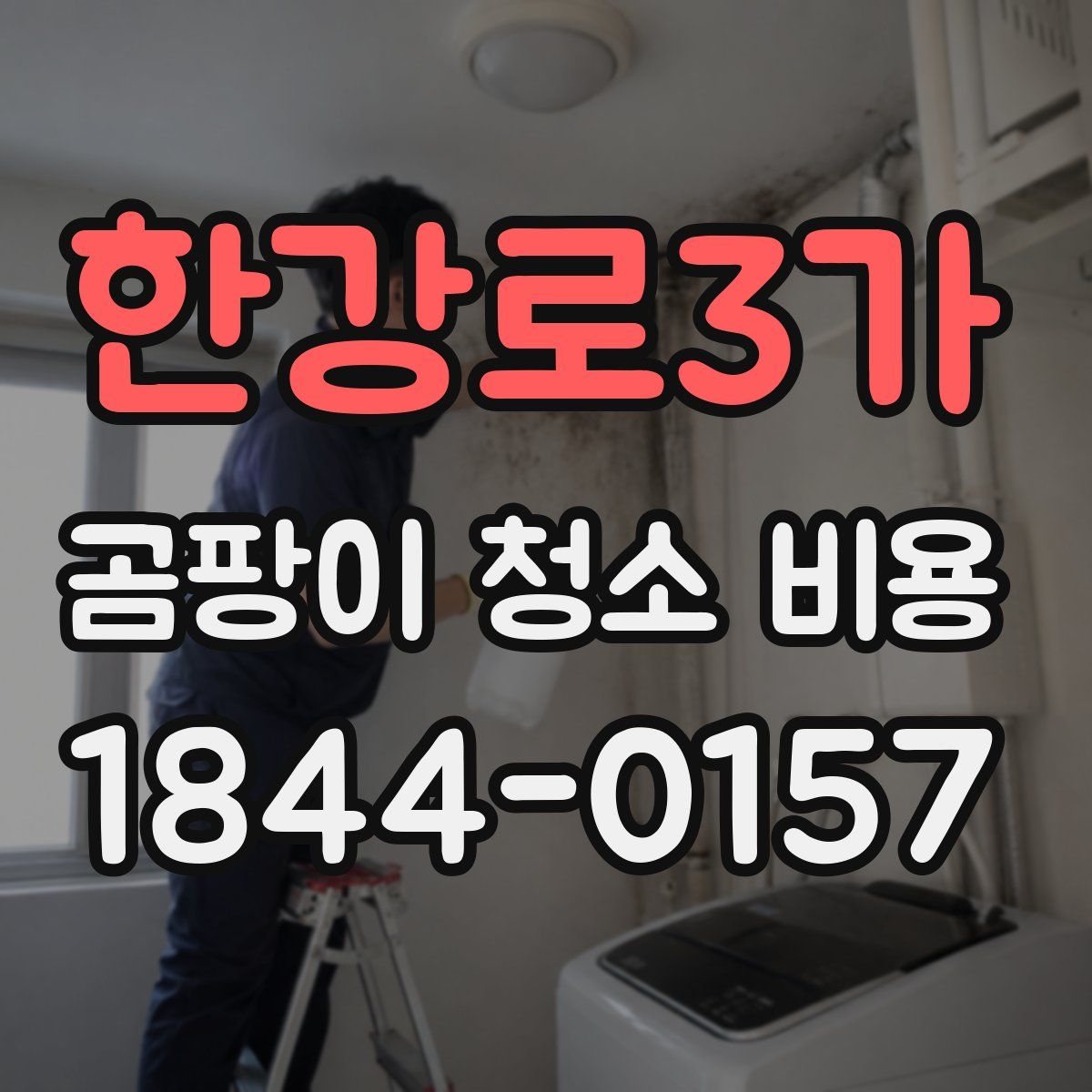 한강로3가 곰팡이 청소 비용