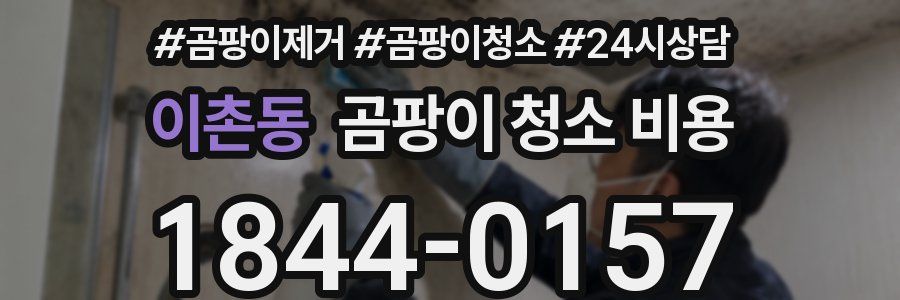 이촌동 곰팡이 청소 비용