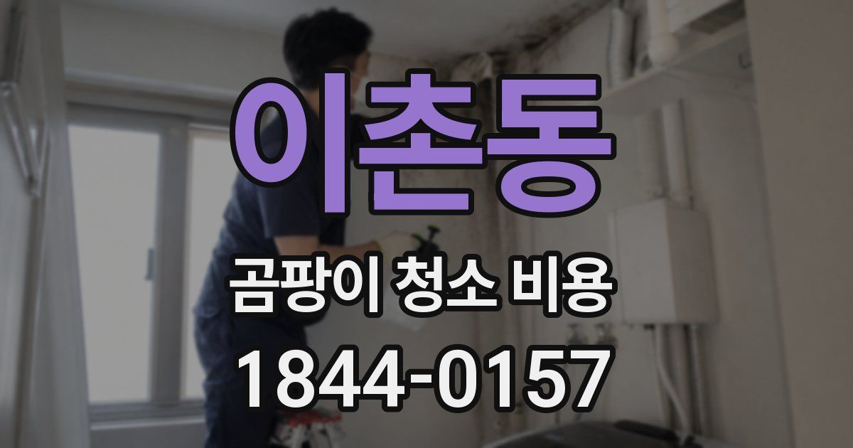 이촌동 곰팡이 청소 비용