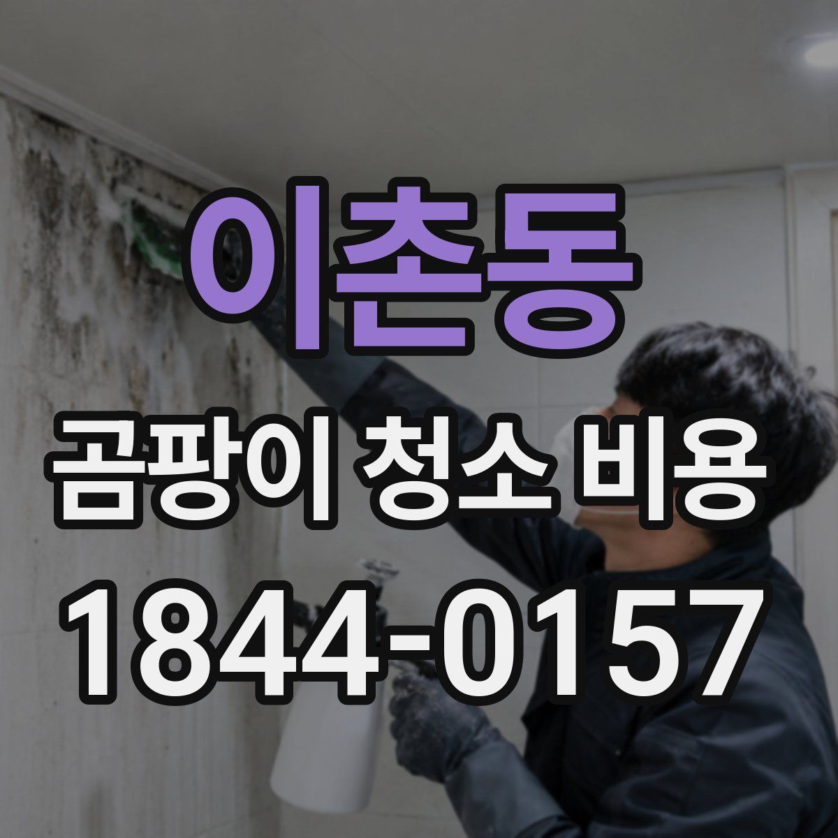 이촌동 곰팡이 청소 비용