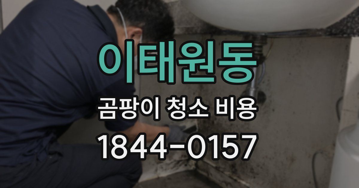 이태원동 곰팡이 청소 비용