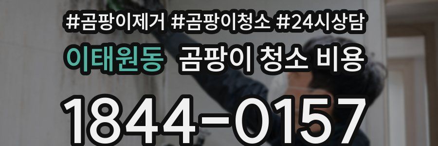 이태원동 곰팡이 청소 비용