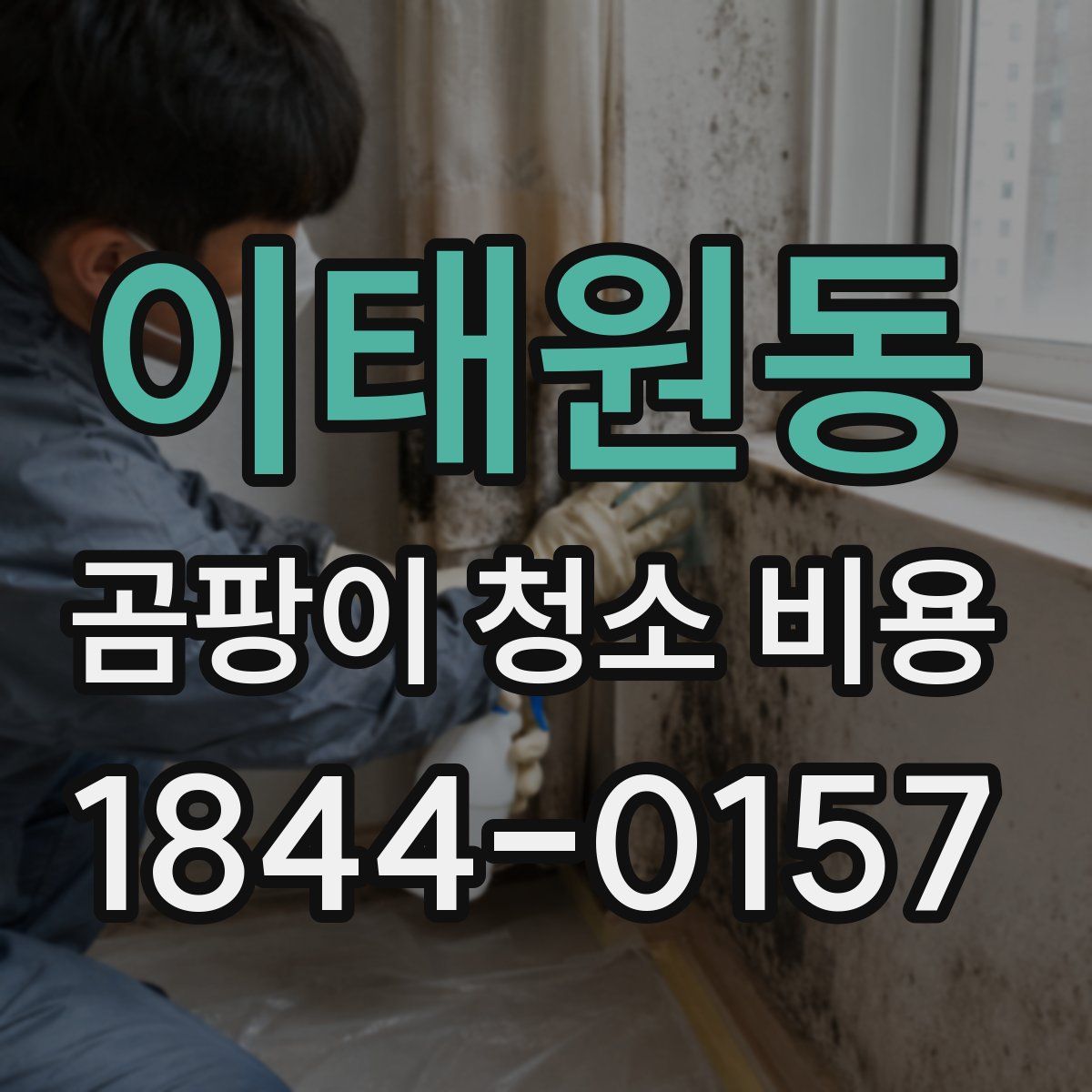 이태원동 곰팡이 청소 비용