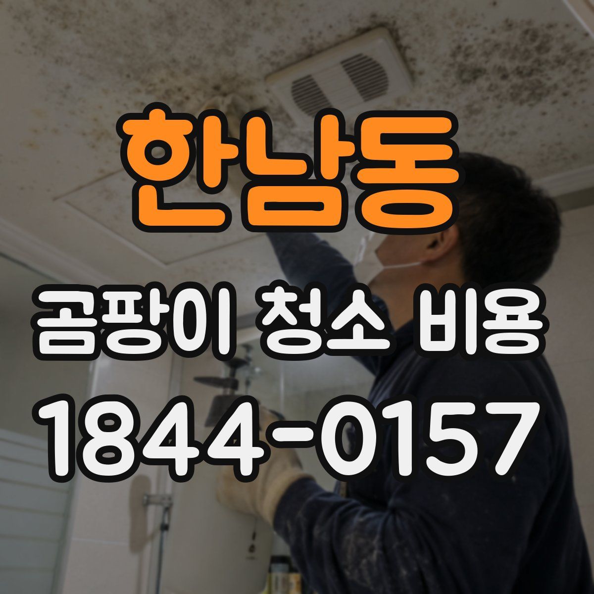 한남동 곰팡이 청소 비용