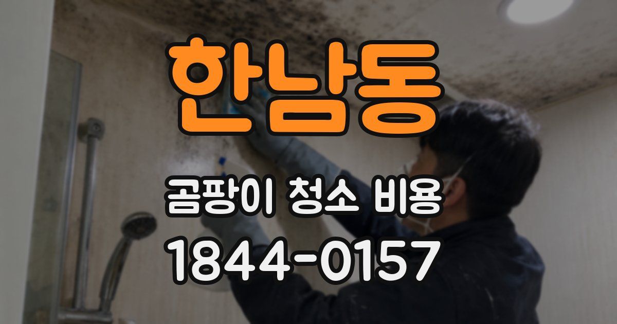 한남동 곰팡이 청소 비용