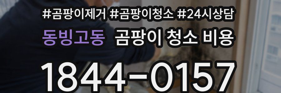 동빙고동 곰팡이 청소 비용