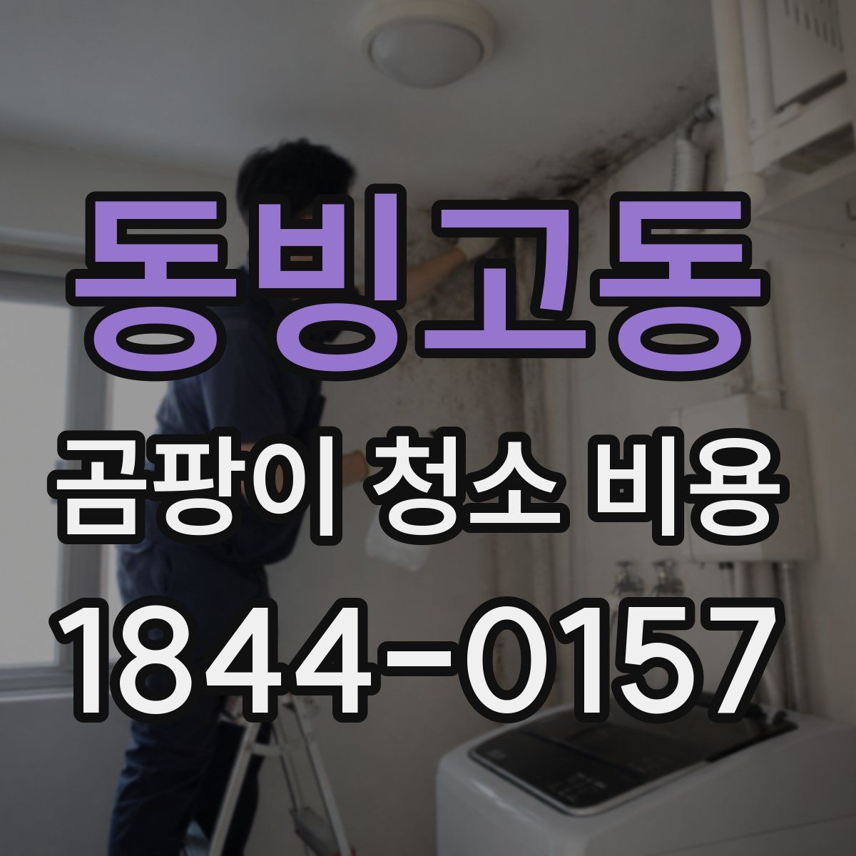 동빙고동 곰팡이 청소 비용