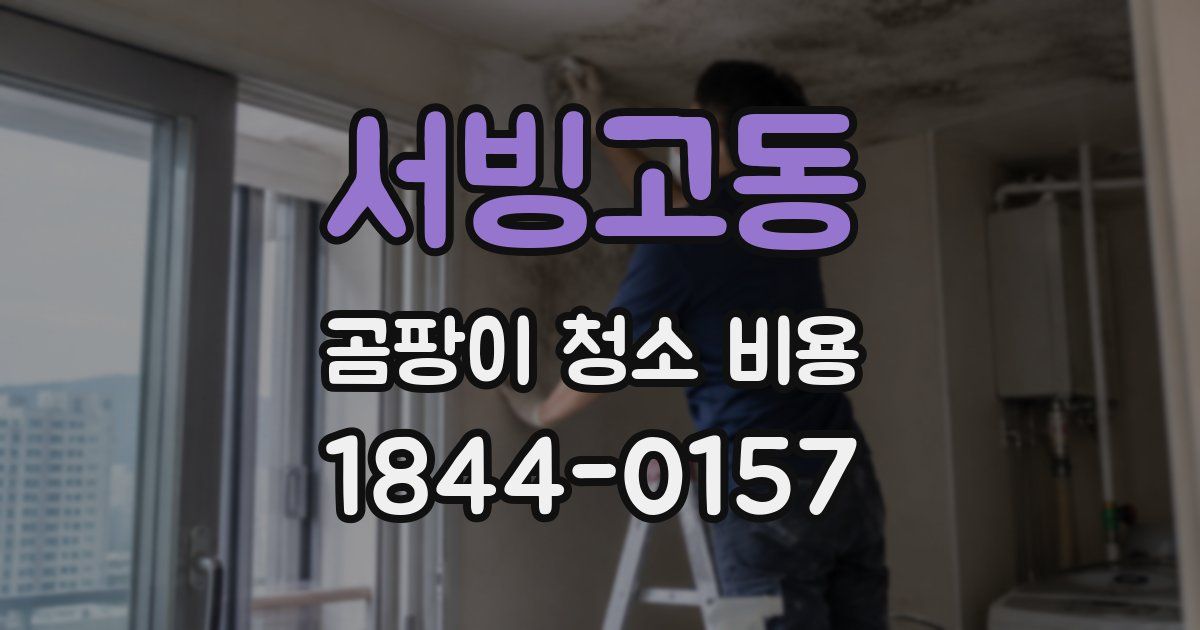 서빙고동 곰팡이 청소 비용