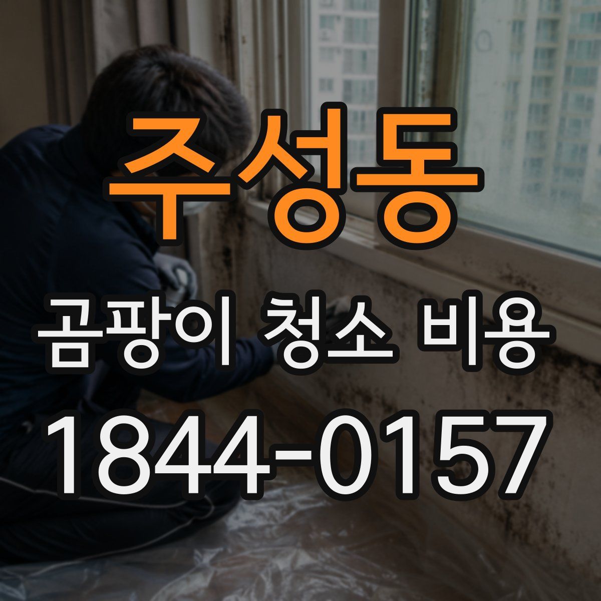 주성동 곰팡이 청소 비용