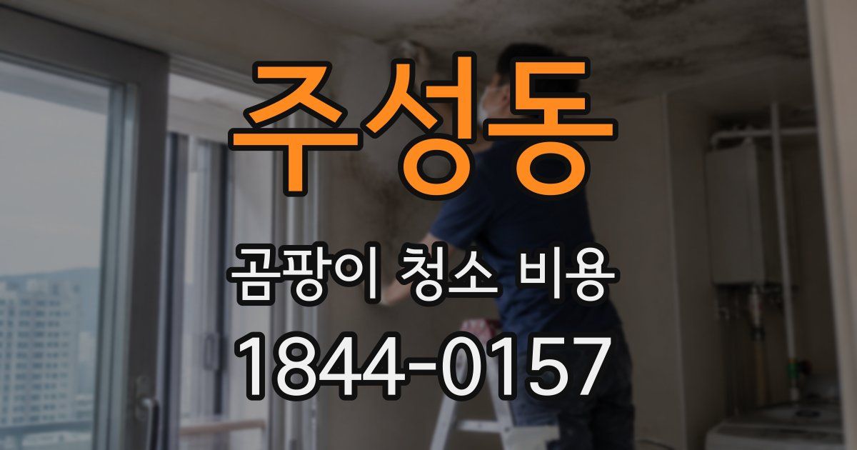 주성동 곰팡이 청소 비용
