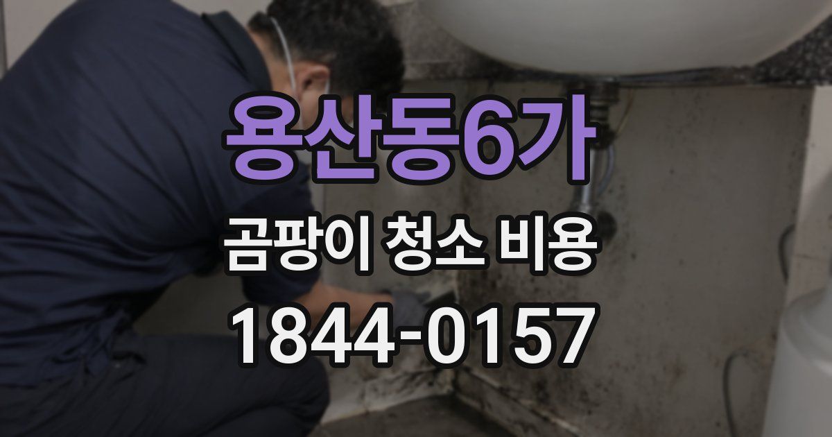 용산동6가 곰팡이 청소 비용