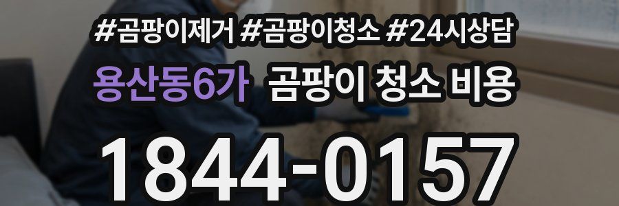 용산동6가 곰팡이 청소 비용