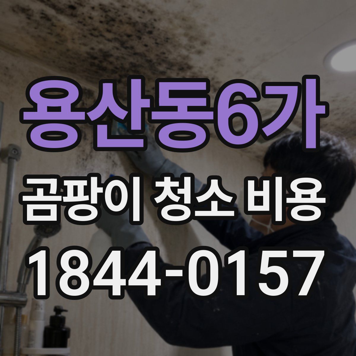 용산동6가 곰팡이 청소 비용