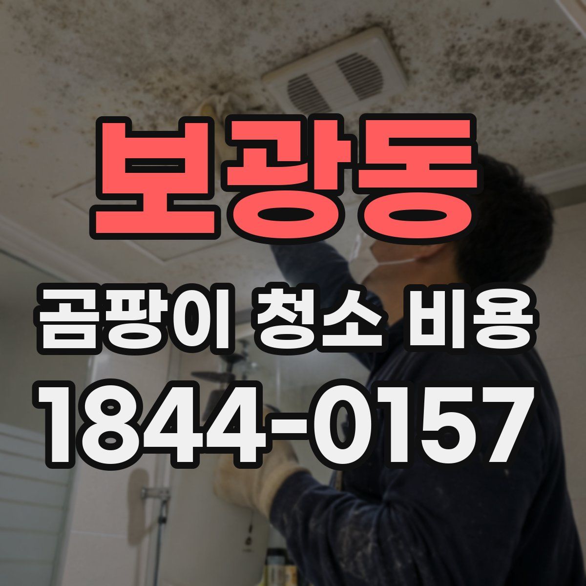 보광동 곰팡이 청소 비용