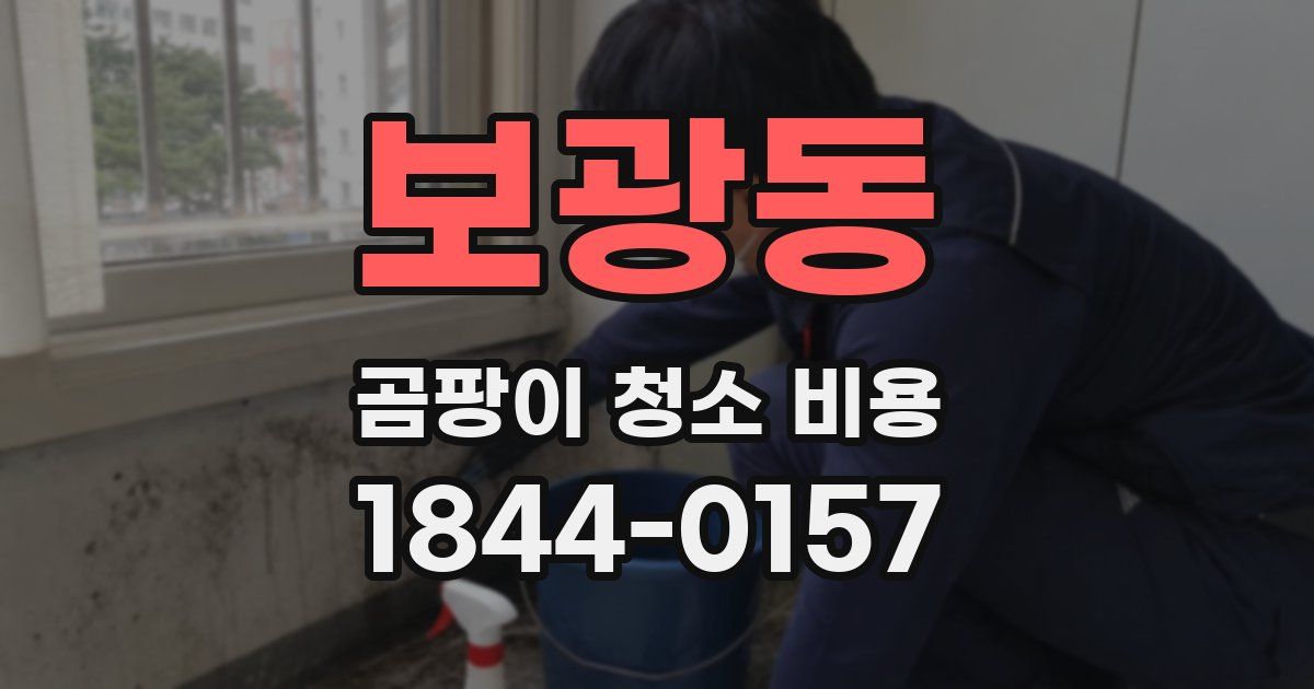 보광동 곰팡이 청소 비용