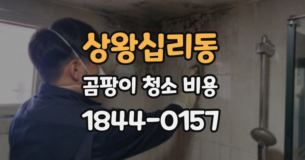상왕십리동 곰팡이 청소 비용