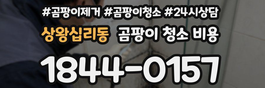 상왕십리동 곰팡이 청소 비용