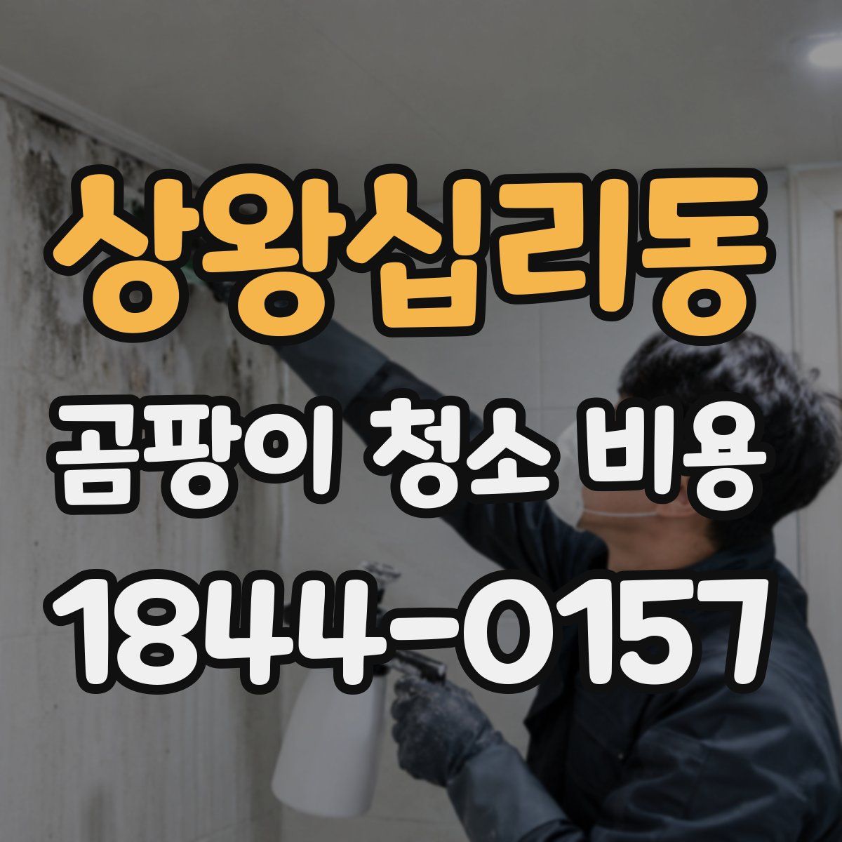 상왕십리동 곰팡이 청소 비용