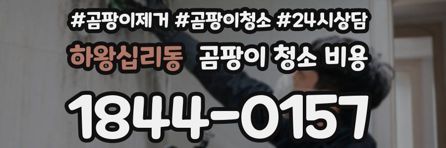 하왕십리동 곰팡이 청소 비용