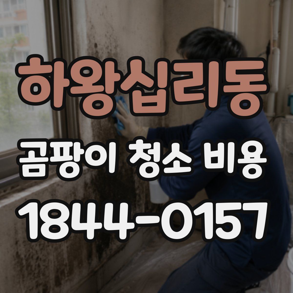하왕십리동 곰팡이 청소 비용