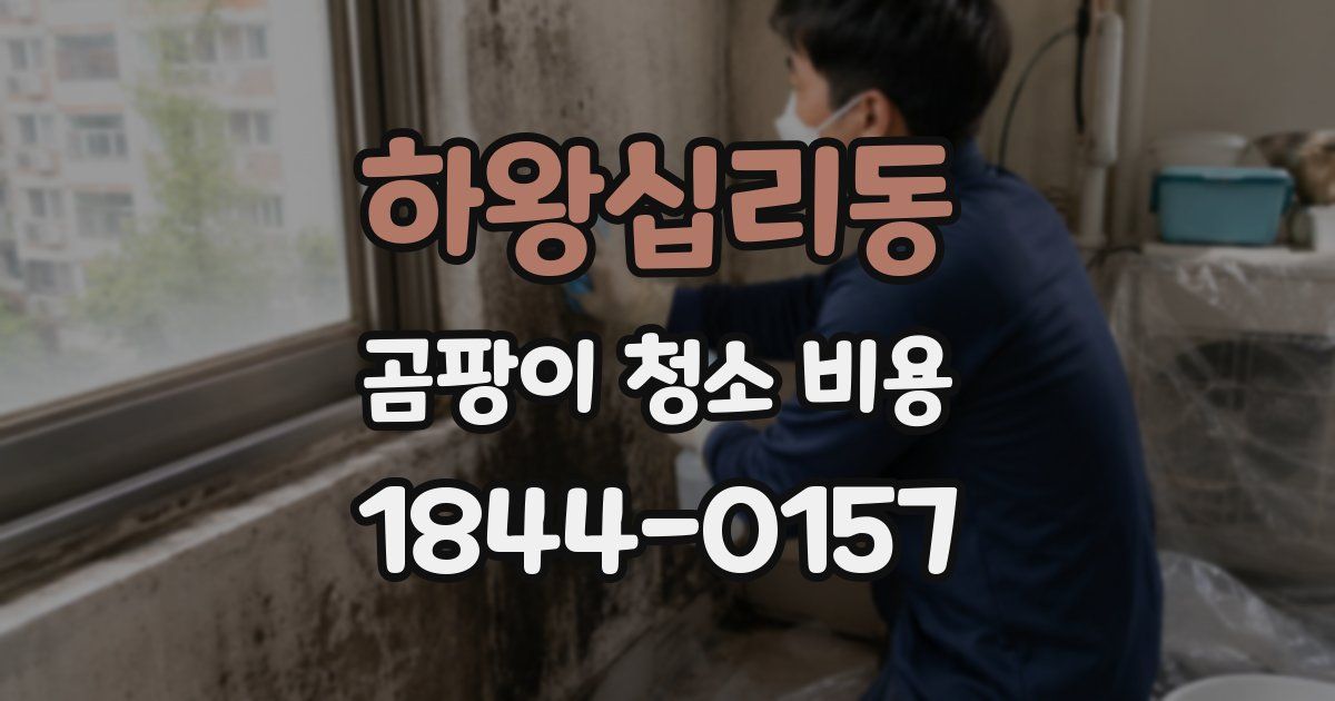 하왕십리동 곰팡이 청소 비용