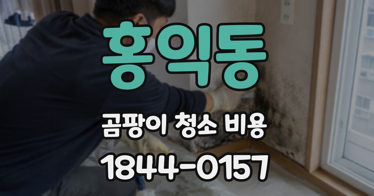 홍익동 곰팡이 청소 비용