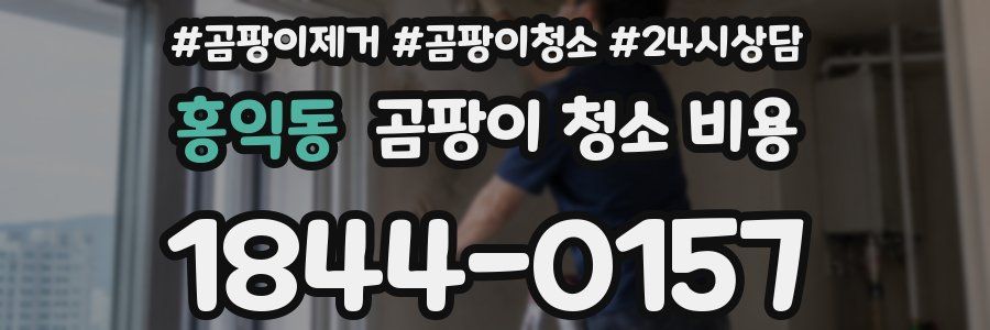 홍익동 곰팡이 청소 비용
