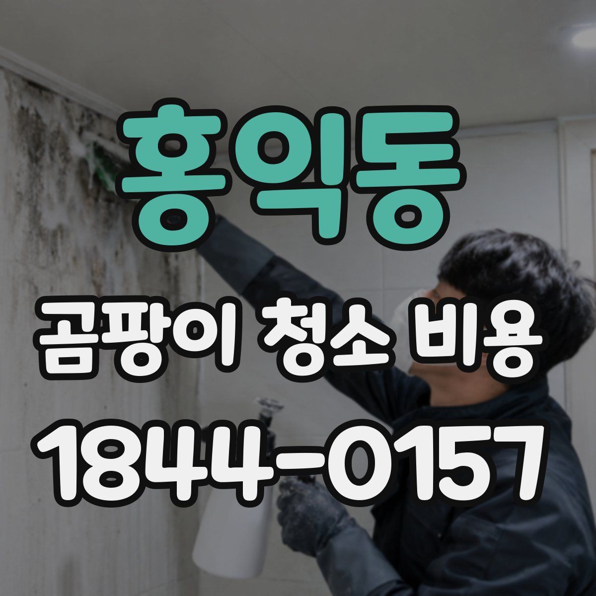 홍익동 곰팡이 청소 비용