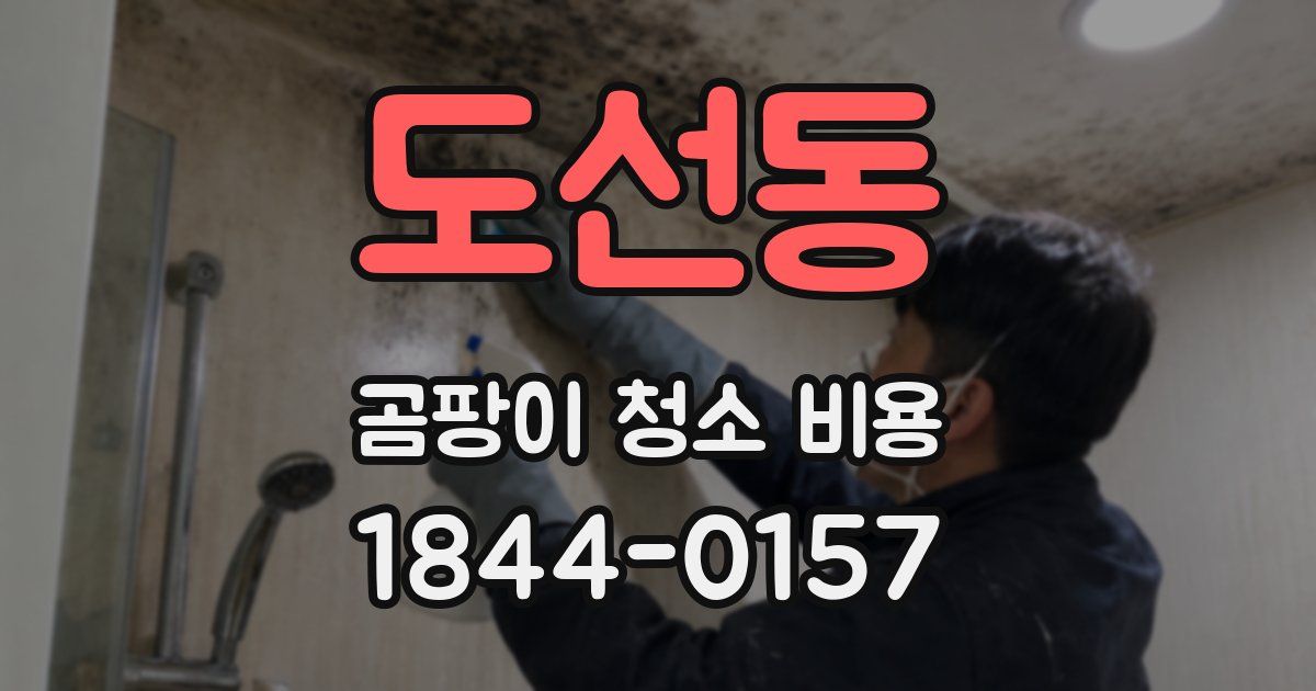 도선동 곰팡이 청소 비용