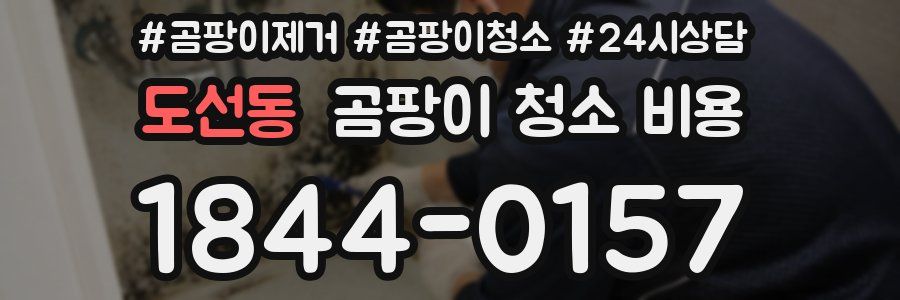 도선동 곰팡이 청소 비용