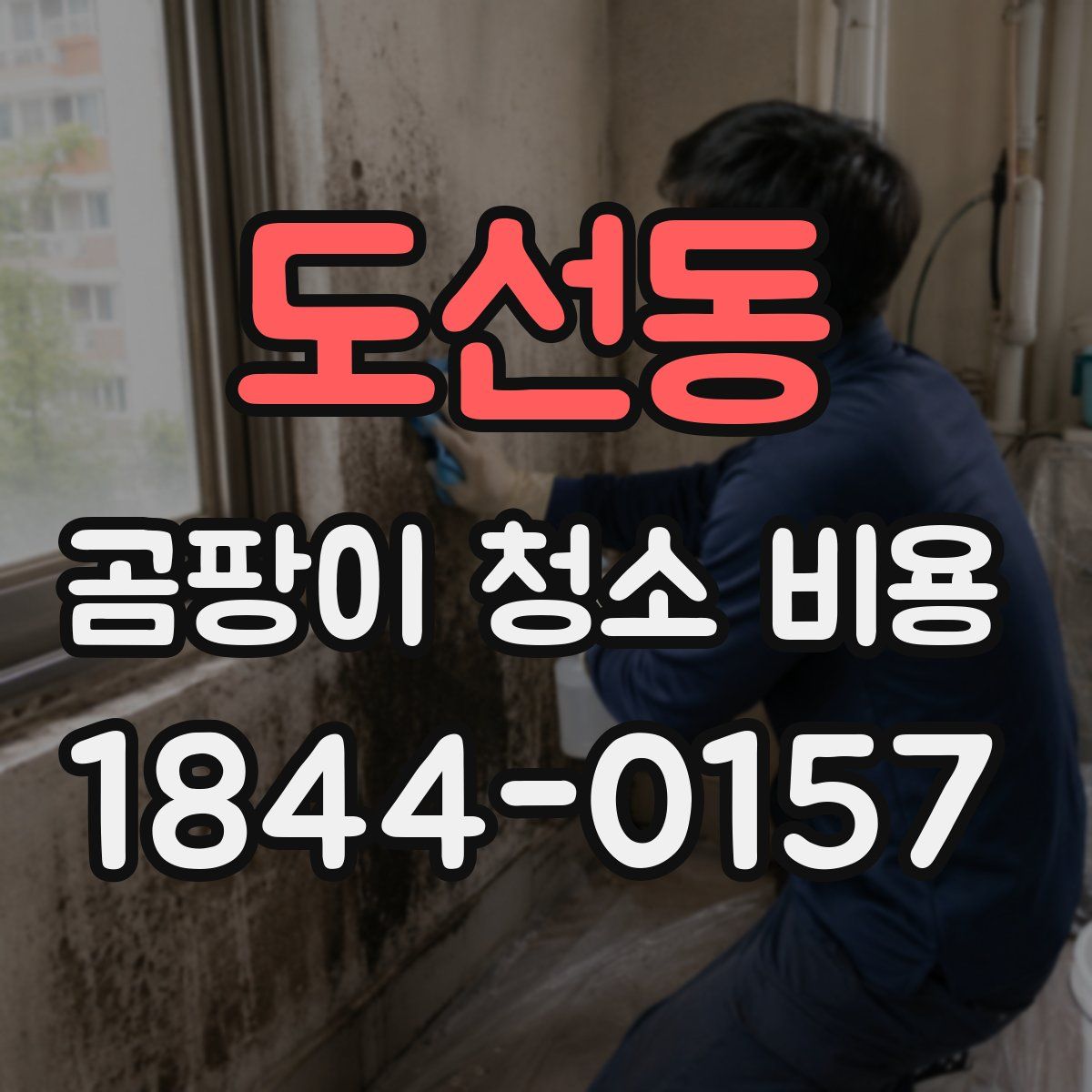 도선동 곰팡이 청소 비용