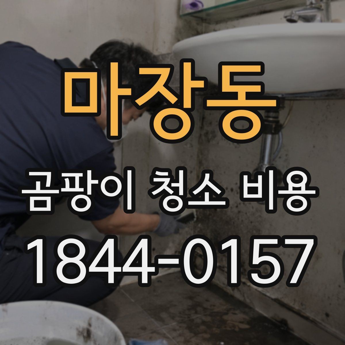 마장동 곰팡이 청소 비용 범위가 넓은 집에서 먼저 볼 항목