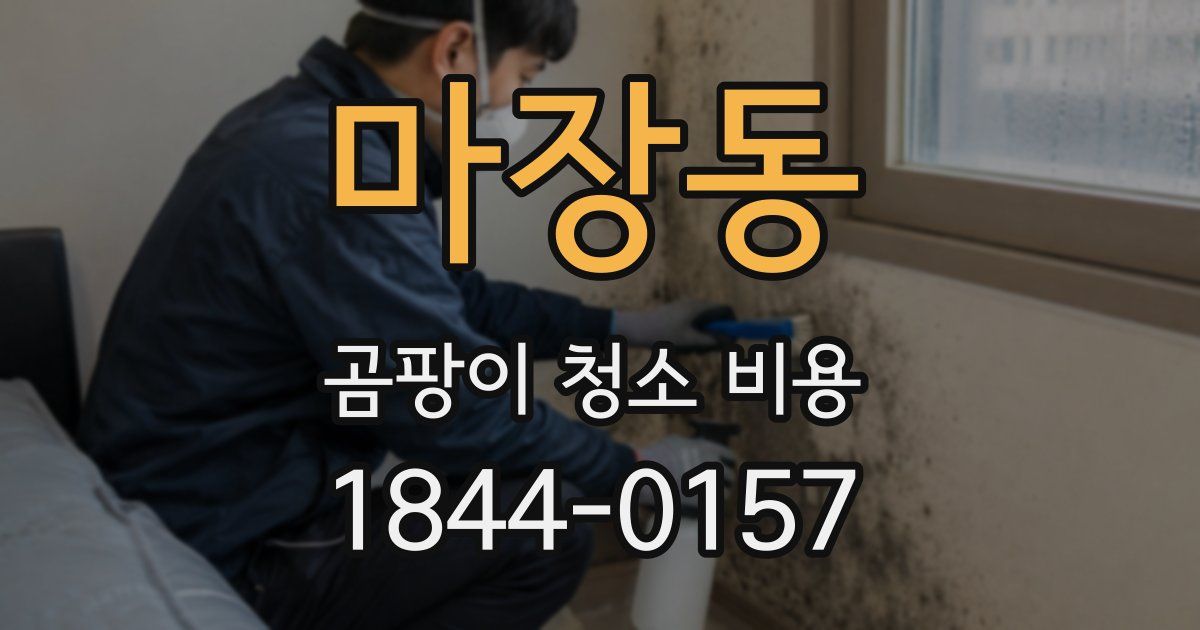 마장동 곰팡이 청소 비용