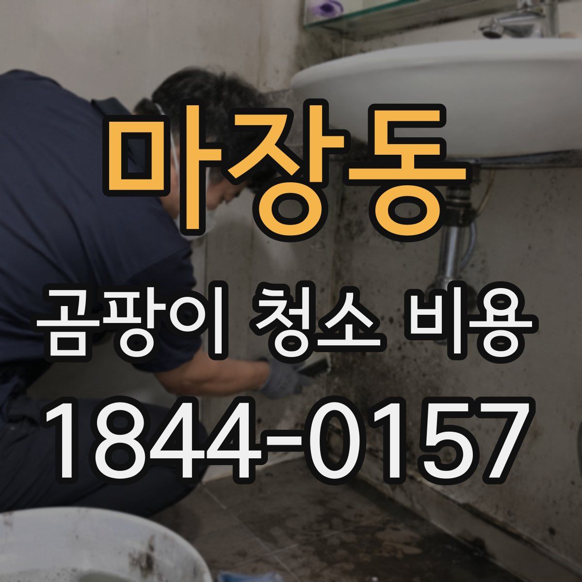 마장동 곰팡이 청소 비용