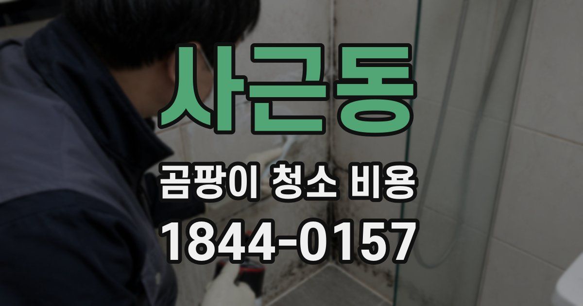 사근동 곰팡이 청소 비용