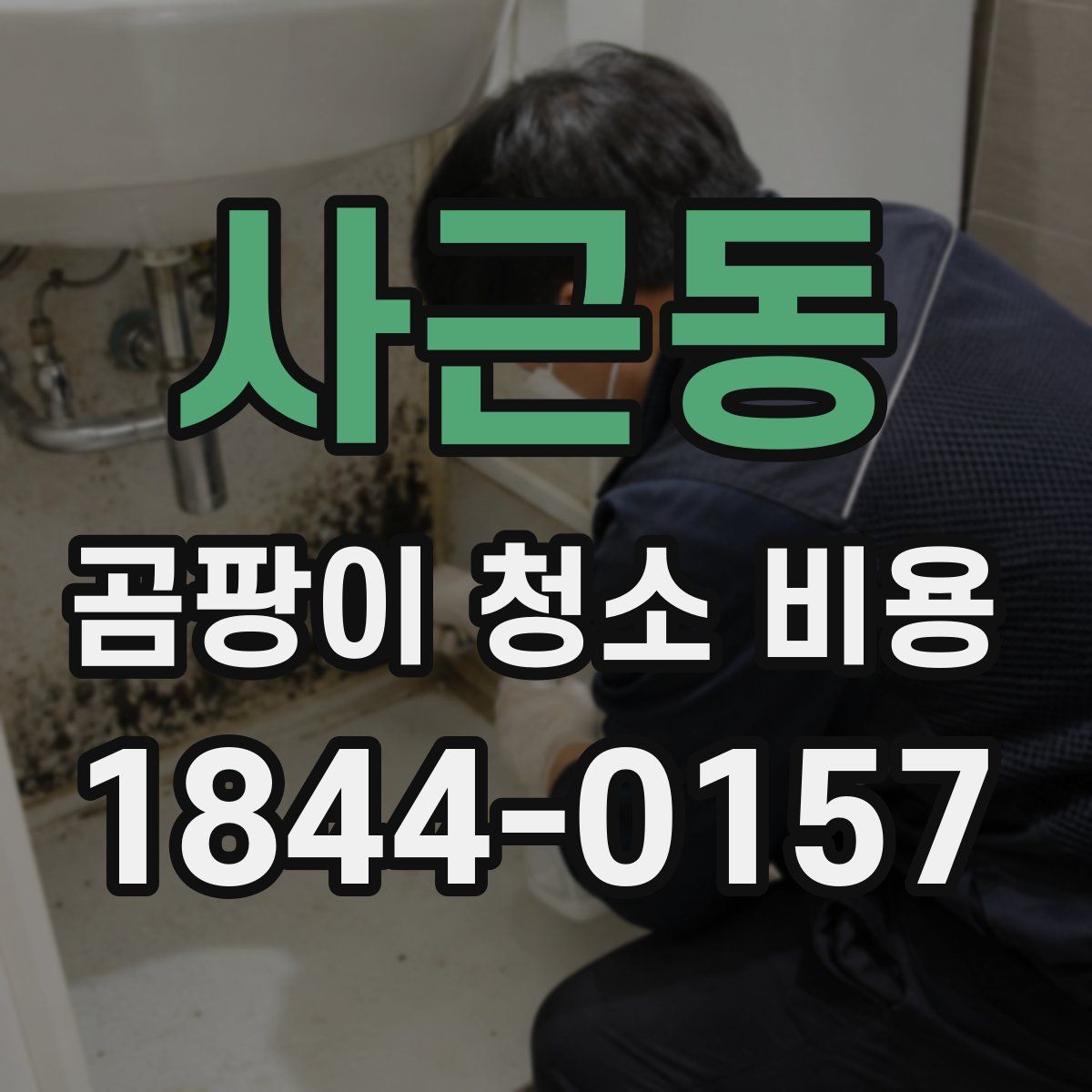 사근동 곰팡이 청소 비용