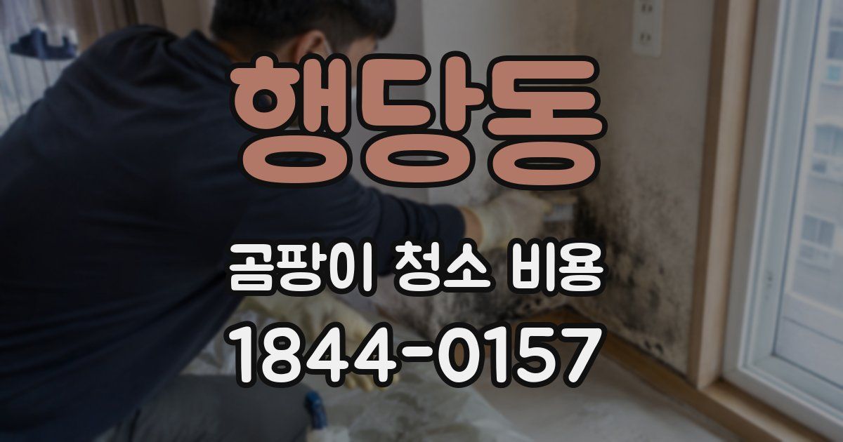 행당동 곰팡이 청소 비용