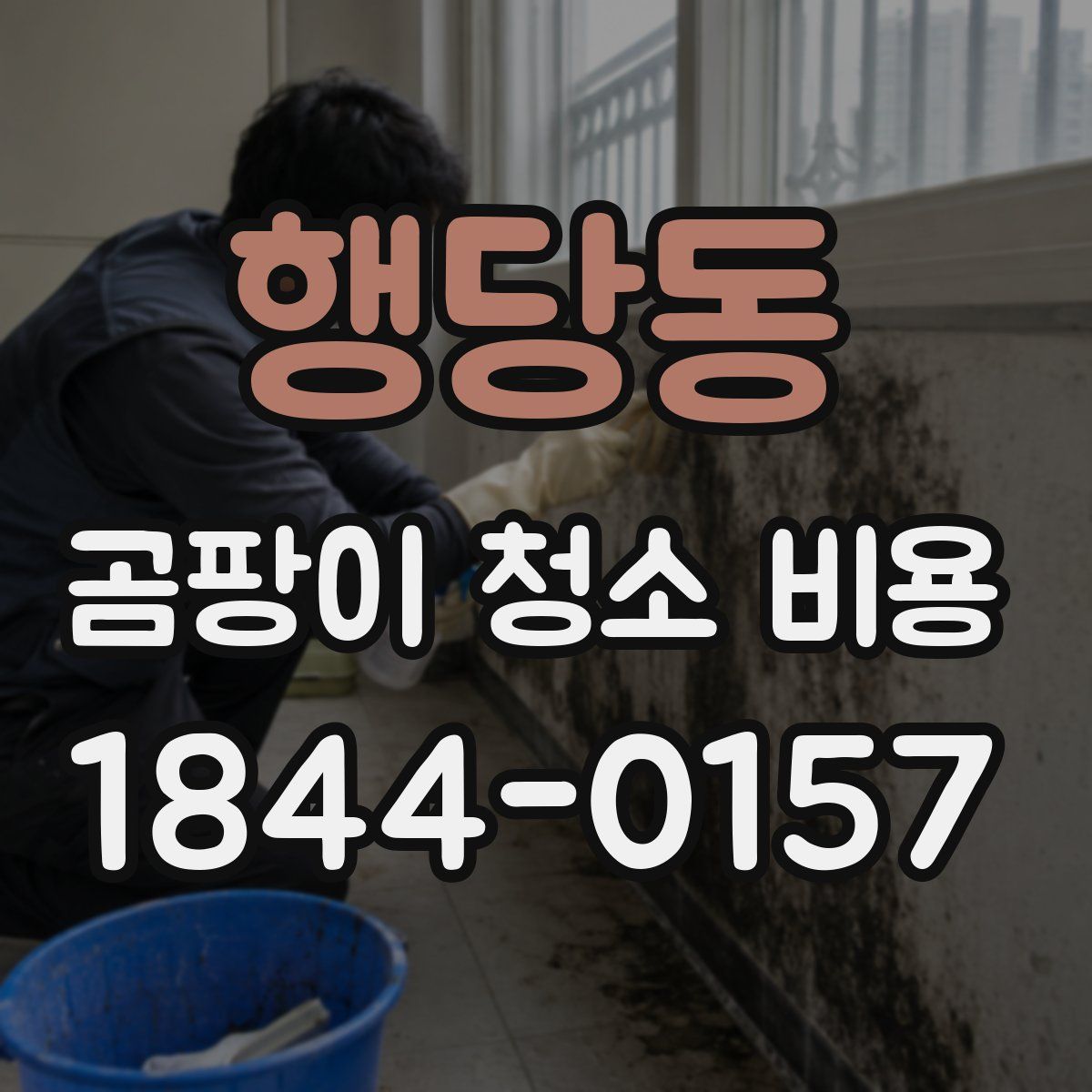 행당동 곰팡이 청소 비용