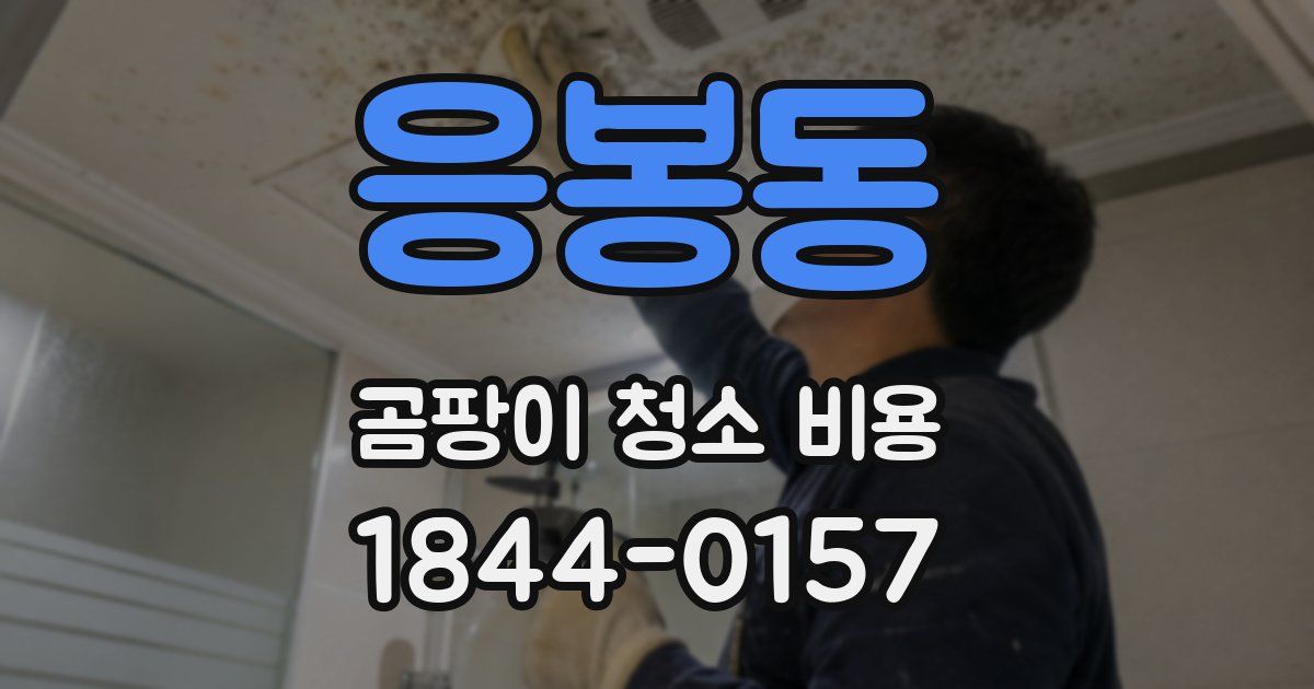 응봉동 곰팡이 청소 비용