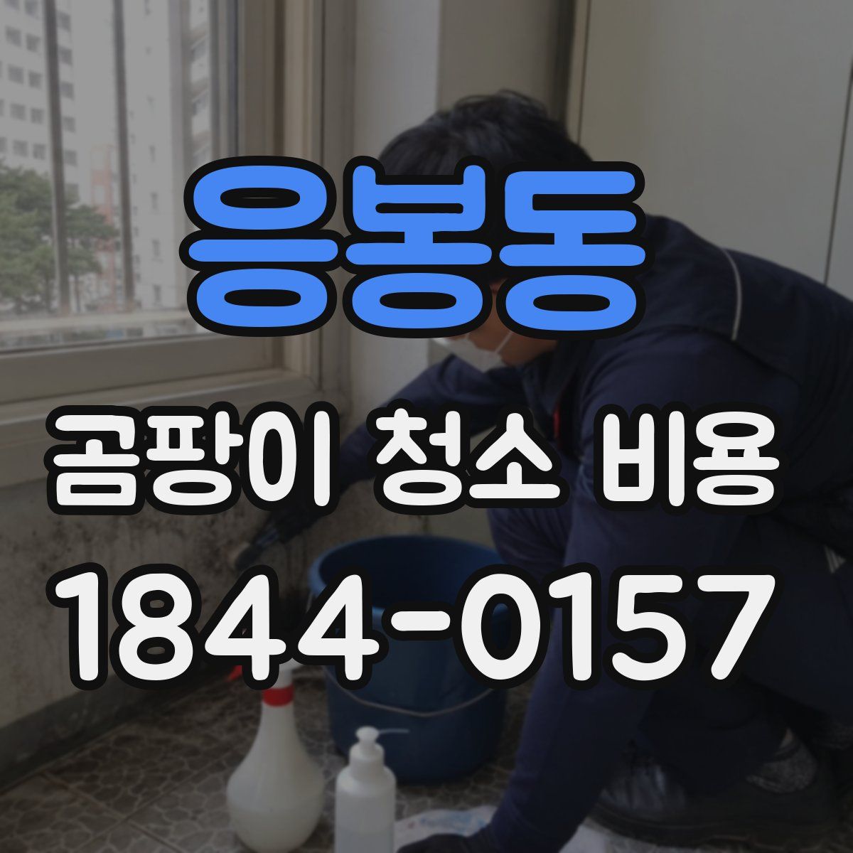응봉동 곰팡이 청소 비용