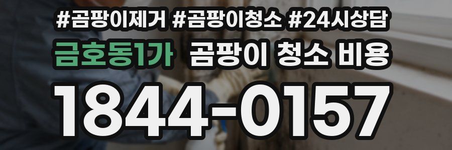 금호동1가 곰팡이 청소 비용