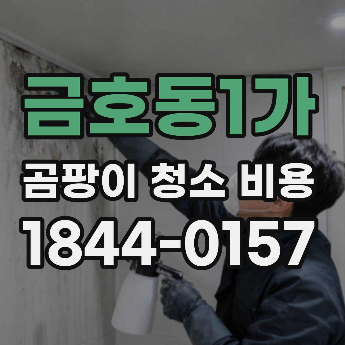 금호동1가 곰팡이 청소 비용
