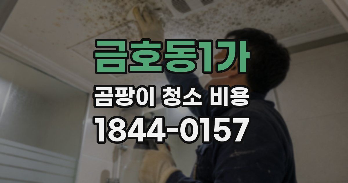금호동1가 곰팡이 청소 비용