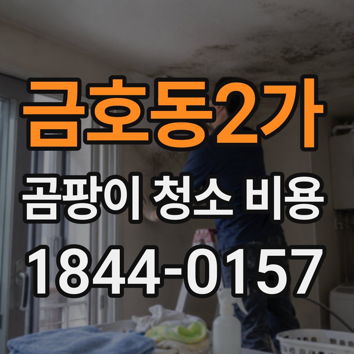 금호동2가 곰팡이 청소 비용